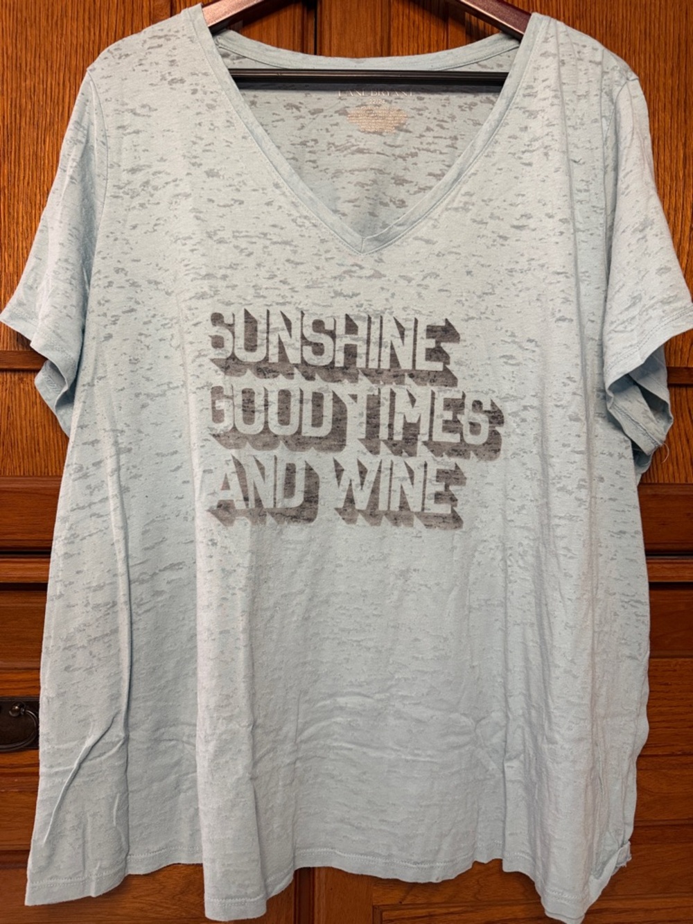 Lane Bryant V-Neck Graphic Tee “Sunshine, Good Times and Wine” Burnout Summer
